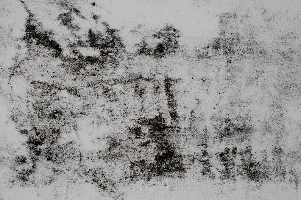 Mould on wall